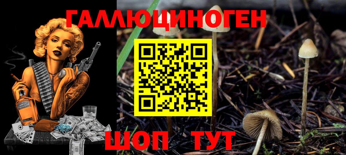 Псилоцибиновые грибы Magic Shrooms Белорецк